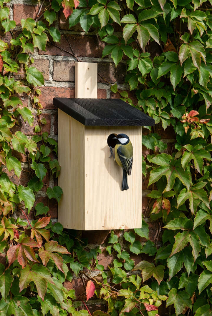 dobar Nistkasten aus Holz